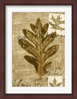 Framed Leaf Collage I