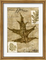 Framed Leaf Collage II