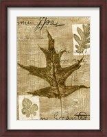 Framed Leaf Collage II