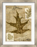Framed Leaf Collage II