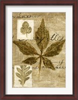 Framed Leaf Collage III