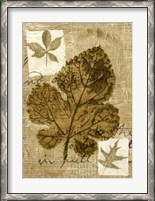 Framed Leaf Collage IV