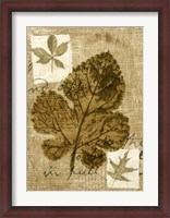 Framed Leaf Collage IV