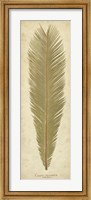 Framed Sago Palm I