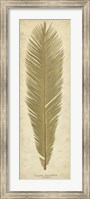 Framed Sago Palm II