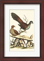 Framed Regal Pheasants I