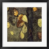 Wet Pavement I Framed Print