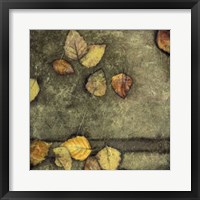 Wet Pavement II Framed Print