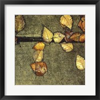 Wet Pavement III Framed Print