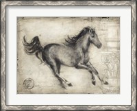 Framed Roman Horse I