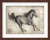 Framed Roman Horse I