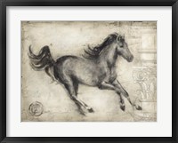 Roman Horse I Framed Print