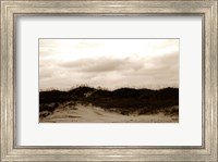 Framed Ocracoke Dune Study I
