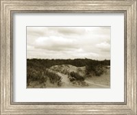 Framed Ocracoke Dune Study II