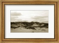 Framed Ocracoke Dune Study III