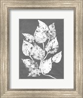 Framed Frosty Philodendron I