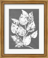 Framed Frosty Philodendron I