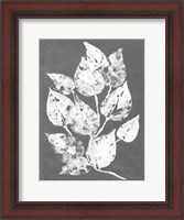 Framed Frosty Philodendron I