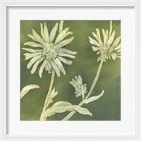 Framed Verdigris Blossoms IV