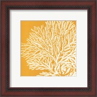 Framed Saturated Coral I