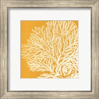 Framed Saturated Coral I