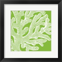 Saturated Coral II Framed Print