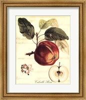Framed Custom Tuscan Fruits I (AO)