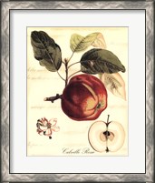 Framed Custom Tuscan Fruits I (AO)