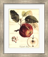 Framed Custom Tuscan Fruits I (AO)