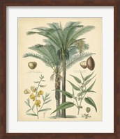 Framed Fruitful Palm I