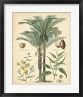 Framed Fruitful Palm I
