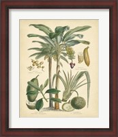 Framed Fruitful Palm II