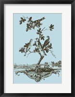 Framed Avian Toile I