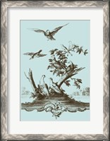 Framed Avian Toile IV