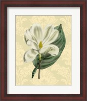 Framed Magnolia with background (A)