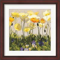 Framed Poppies and Pansies II