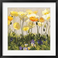 Framed Poppies and Pansies II