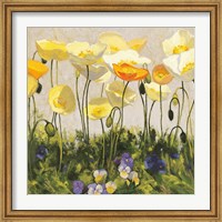Framed Poppies and Pansies II