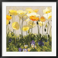 Framed Poppies and Pansies II