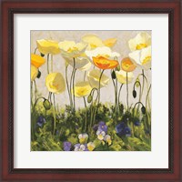 Framed Poppies and Pansies II