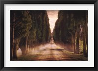 Framed Cypress Lined Road II, Siena Tuscany