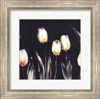 Framed Succulent Tulips