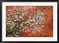 Framed Wild Plum Blossoms