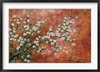 Framed Wild Plum Blossoms