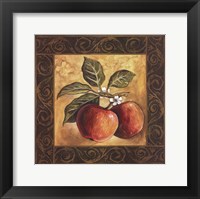 Framed Apple Orchard