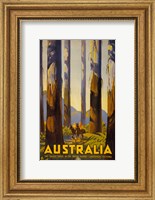 Framed Australia - Tallest Trees