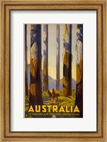 Framed Australia - Tallest Trees