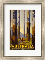 Framed Australia - Tallest Trees