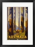 Framed Australia - Tallest Trees