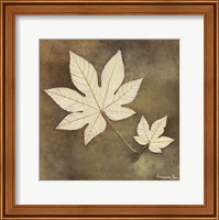 Framed Maple Leaf